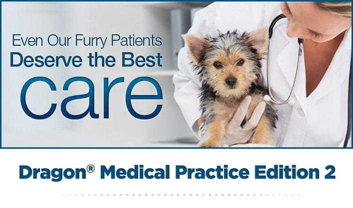 Dragon Medical Practice Edition 2