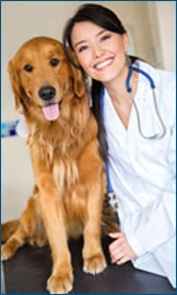 Dragon Medical for Vets