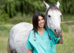 Veterinarian with Horse